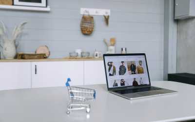 Build Your Ecommerce Store with Pro Developer